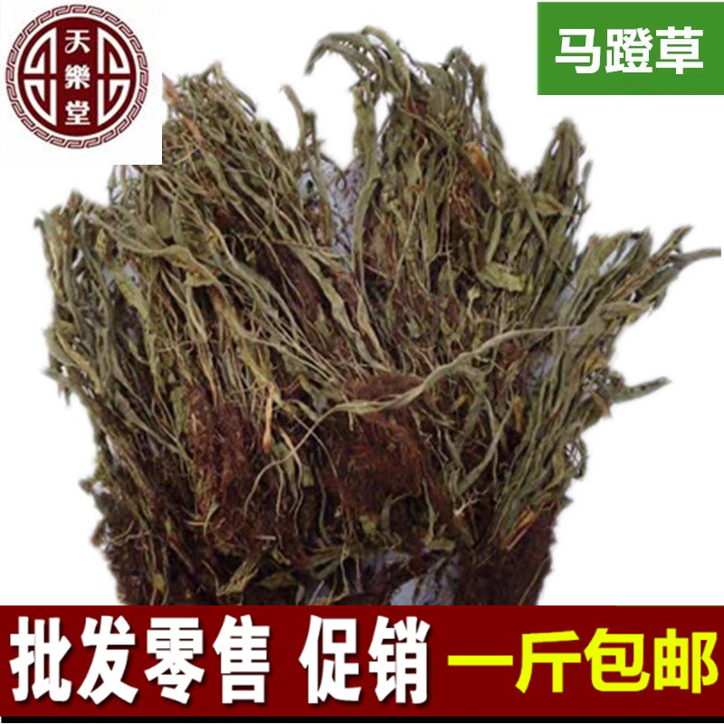 马蹬草 过桥草 马灯草 马蹄草250克  包邮 初级农产品