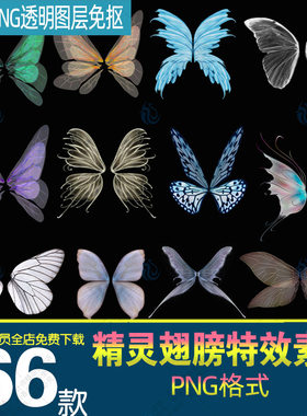 梦幻精灵仙女蝴蝶翅膀装饰png元素材高清免抠图片ps设计合成特效