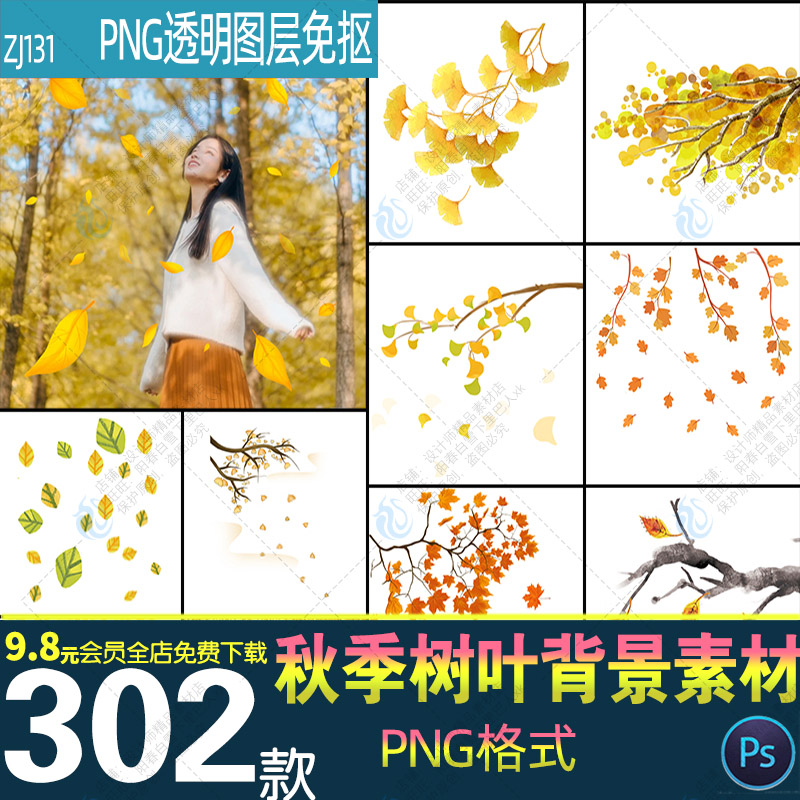 秋天秋季树叶枯黄枫叶银杏叶落叶子凋零飘落 PNG免扣图片装饰素材