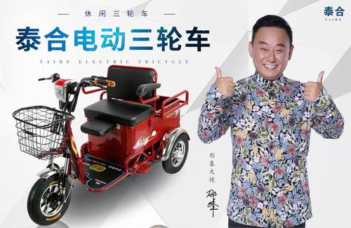 小型爬坡王电动三轮车送孩子