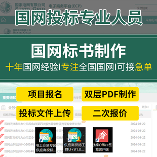 标书制作国网代做招投标书文件采购ecp电工双层PDF预算造价技术标