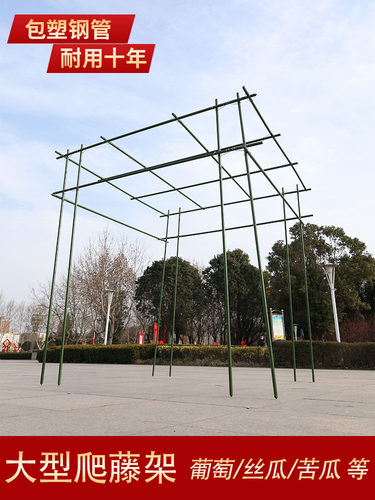 葡萄架子庭院户外花架爬藤支架丝瓜百香果植物花卉包塑钢管支撑架