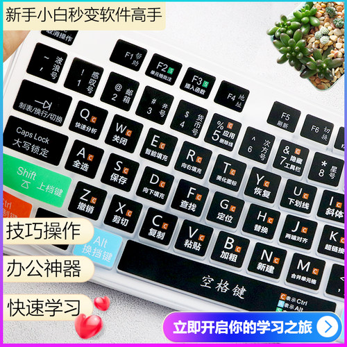 适用于笔记本电脑笔记本wps零基础文员新手学电脑excel快捷键键盘