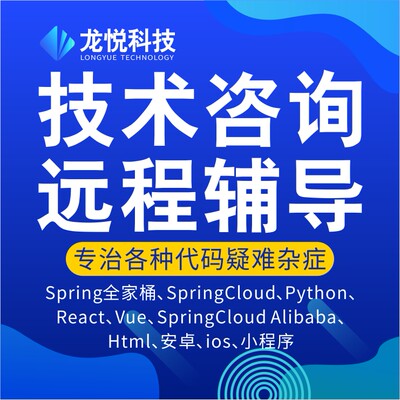 Java问题解决项目线上Bug修复代码调试修改远程指导技术支持讲解