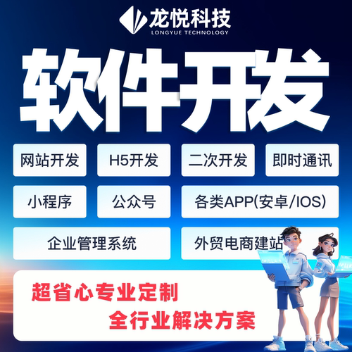 龙悦科技企业级项目定制二次开发