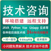 Java问题解决代码 调试项目修改讲解运行远程修改Bug修复技术支持