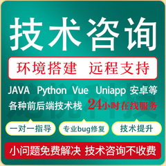 Java问题解决代码调试项目修改讲解运行远程修改Bug修复技术支持