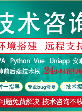 Java问题解决代码调试项目修改讲解运行远程修改Bug修复技术支持
