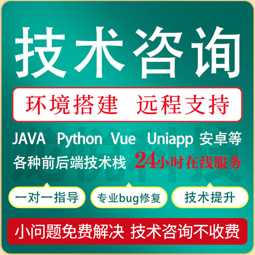 Java问题解决代码调试项目修改讲解运行远程修改Bug修复技术支持