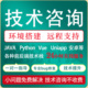Java问题解决代码 调试项目修改讲解运行远程修改Bug修复技术支持