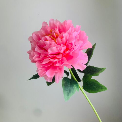 仿真富贵大牡丹花单头假花