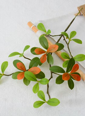 仿真植物海岛春花吊钟多瓣叶马醉木叶风网红民宿家居装饰仿真绿植