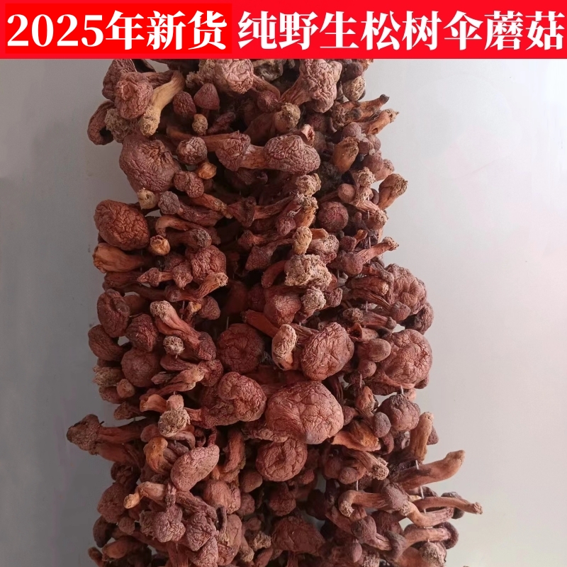 红蘑菇东北蘑菇香菇野生干红菇小松树蘑干货500g特产超福建武夷山