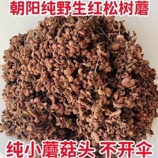 红蘑菇2025年新货东北野生红蘑朝阳特产香菇全小蘑菇头不开伞穿串