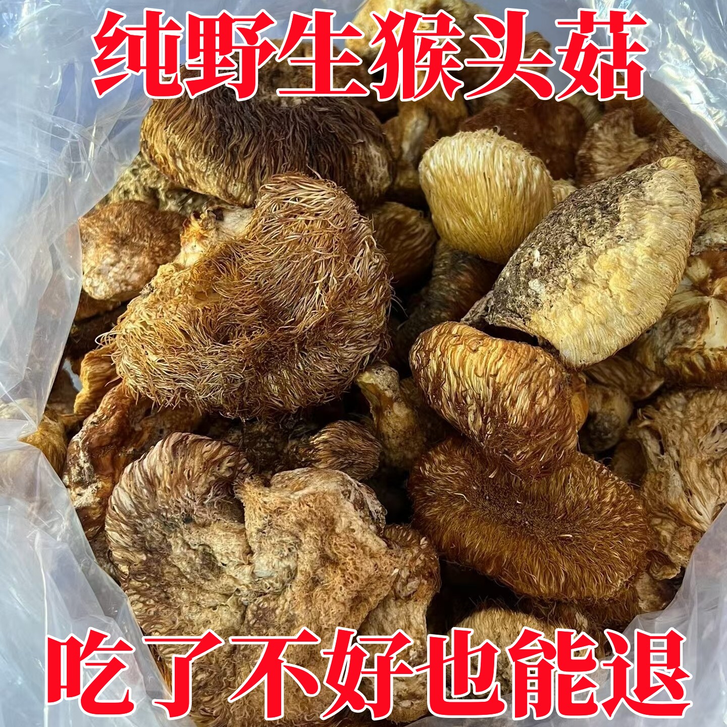 猴头蘑纯野生长白山特产干货精品猴头菇250g养胃正品2025年新货