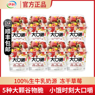 伊利大口嚼搅拌酸奶杯180g草莓燕麦片谷物酸牛奶发酵坚果早餐奶