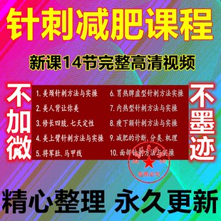 针灸减fei14节课教程完整高清视频精准辩证中医针灸美 针刺减fei