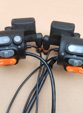 江苏台铃电动车苍穹EB夺冠标志EB塞北宗师左右刹上泵组合开关总成