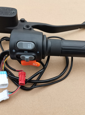 江苏台铃电动车苍穹EB追风者超能S左右碟刹上泵组合开关总成DES