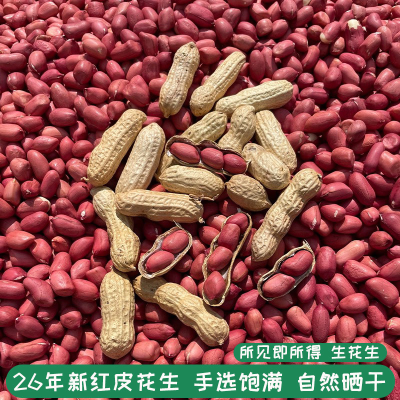 2026新货红皮小花生带壳农家自种四粒红花生红衣花生米花生仁带壳