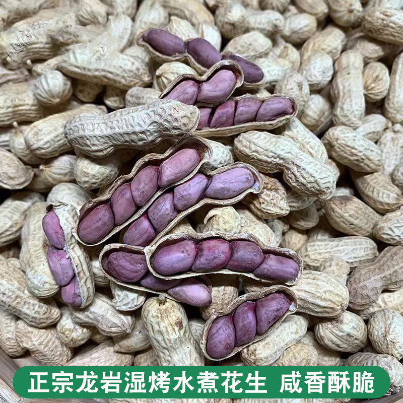 2026新货龙岩湿烤花生正宗福建特产紫衣带壳水煮花生白晒红衣花生