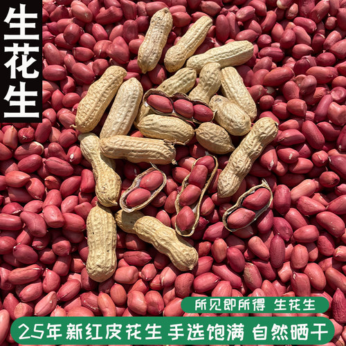 农家红皮花生原生态种植