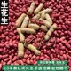 2025新货红皮小花生带壳农家自种四粒红花生红衣花生米花生仁带壳