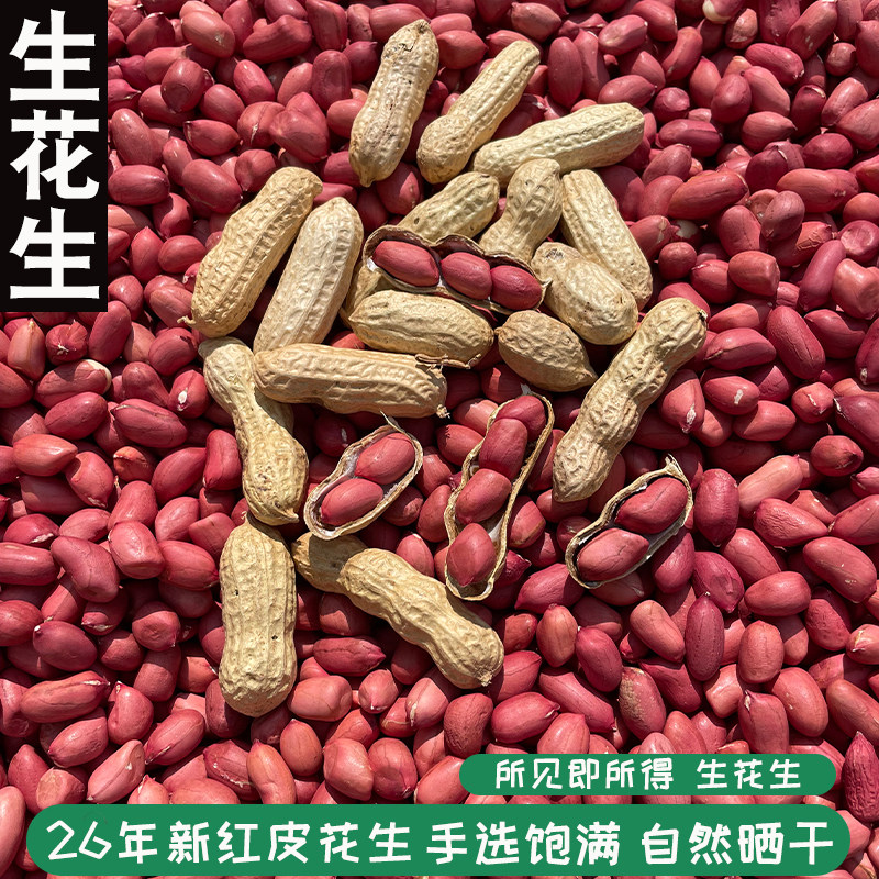 2026新货红皮小花生带壳农家自种四粒红花生红衣花生米花生仁带壳