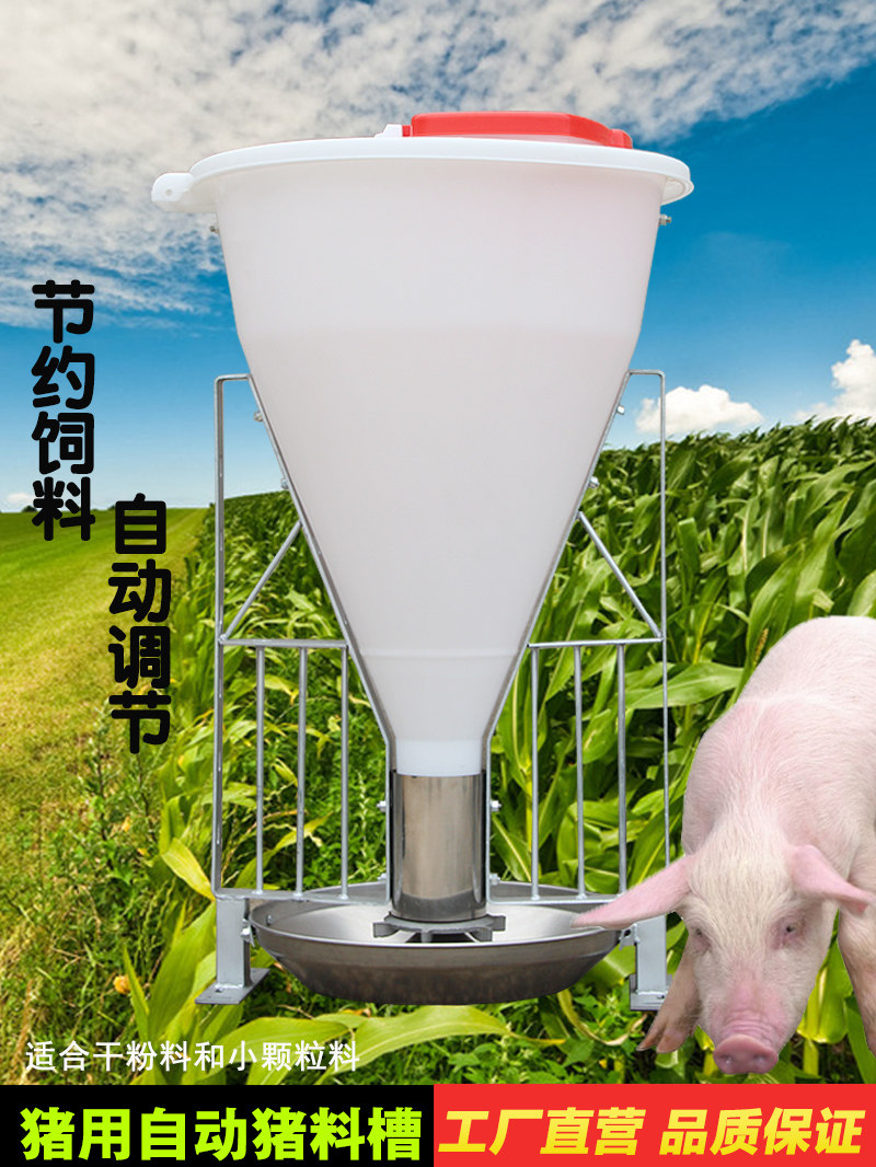 80公斤细桶猪料槽猪自动采食槽下料器大猪育肥不锈钢食槽养殖设备