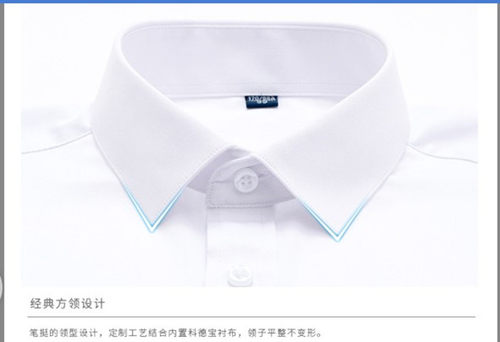 职业4S店白色衬衫假领子