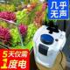 森森鱼缸过滤桶水族箱过滤器过滤用品带鱼缸杀菌灯缸外过滤