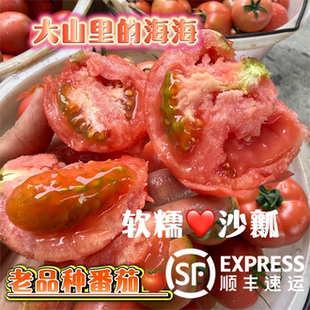【顺丰包邮】老品种口感番茄草莓大番茄水果沙瓤西红柿攀枝花产地