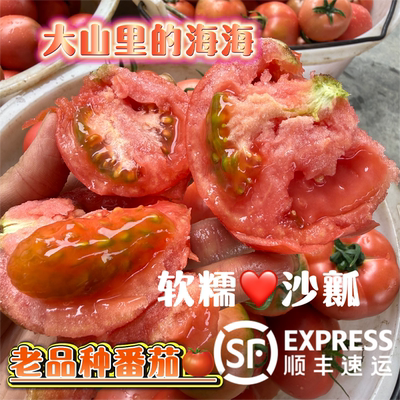 【顺丰包邮】老品种口感番茄草莓大番茄水果沙瓤西红柿攀枝花产地