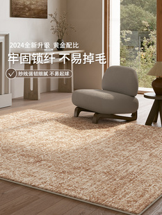 地毯客厅2025新款轻奢高级感免洗可擦卧室家用房间床边毯定制地垫