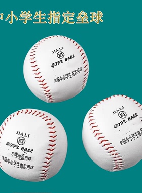 垒球小学生专用10寸垒球比赛训练球投掷硬式实心中考专用儿童棒球