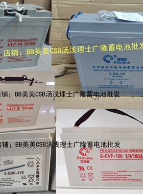 百瑞6-EVF-75蓄电池6-EVF-100 6-EVF-150 3-EVF-170 3-DM-180 8V