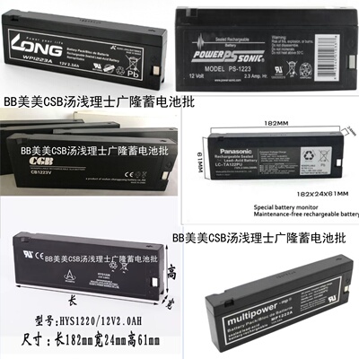 WP1223A蓄电池DHB1222HYS1222