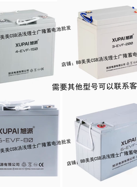 旭派新能源6-EVF-100洗地机6V200AH 3-EVF-180 4-EVF-150 12V80A