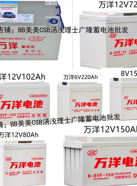 万洋蓄电池6-EVF-1026-EVF-72