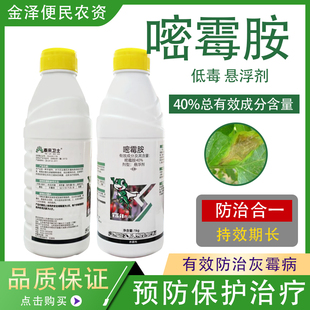 泰来卫士 40%嘧霉胺 番茄灰霉病专用悬浮剂 高效农药杀菌剂500g