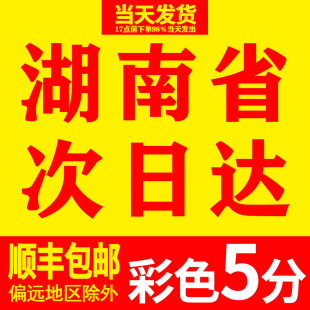 包邮 订湖南顺丰 纸书籍印刷定制装 打印资料网上打印店复印彩印铜版