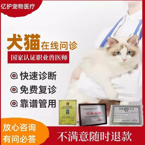 宠物医生在线问诊24小时兽医咨询宠物医院在线看病猫猫狗狗专科
