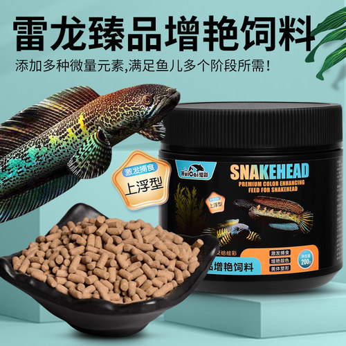 绘彩雷龙鱼饲料阿萨姆黄金眼镜蛇
