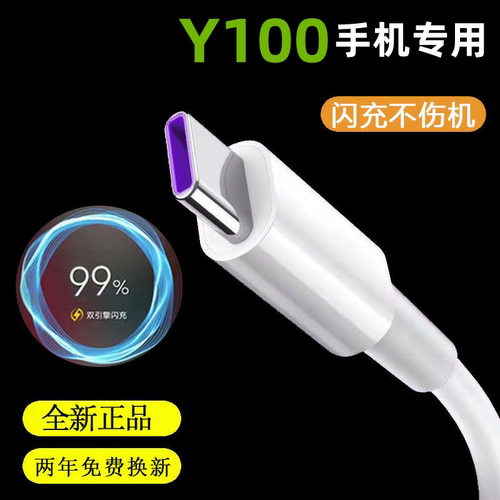 适用vivoY100闪充充电器数据线