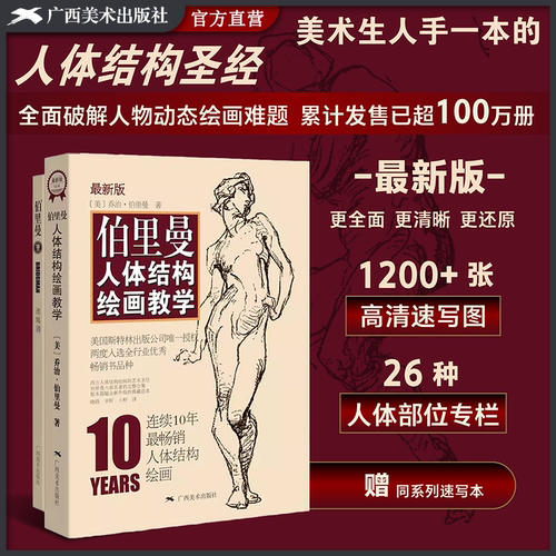 伯里曼人体结构绘画教学第3版