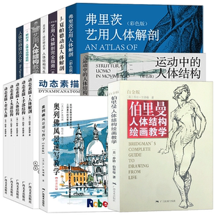 单册可选 伯里曼人体结构教学 赖利法人体与动物结构 人体绘画造型手绘技法解剖动漫人物构造 人体速写入门基础画册临摹书透视技法