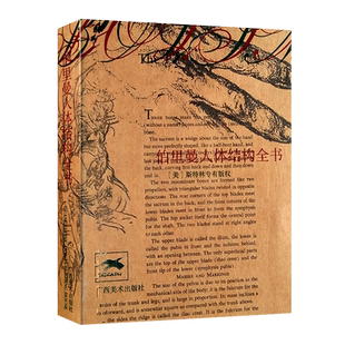 袖珍版伯里曼人体结构全书 人物速写入门手绘基础 实用人体素描速写人物基础技法教程 人体结构动态临摹练习 人体形态理解艺用解剖