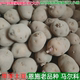 恩施马尔科小土豆老品种农家自留洋芋种大小任选带芽发货