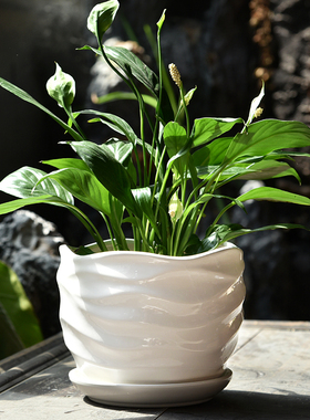 花盆陶瓷简约白色带托盘绿萝吊兰花盆多肉小花盆大号室内家用花盆