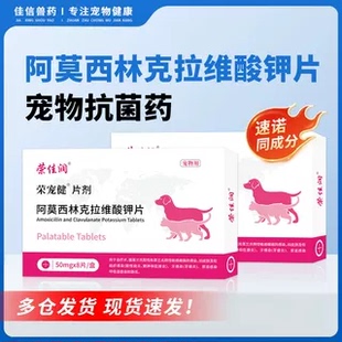 阿莫西林克拉维酸钾片速诺宠物猫咪狗狗消炎药犬感冒咳嗽猫鼻支药